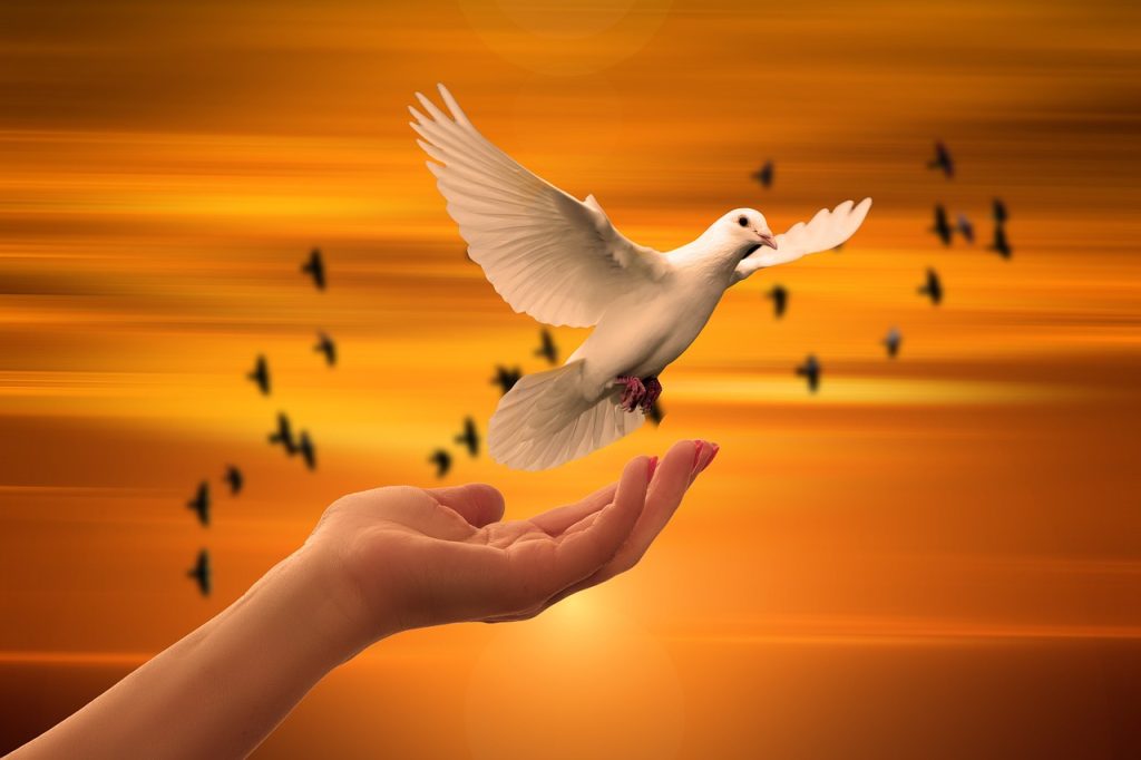 Spirituality